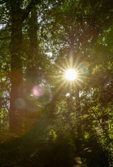 Responsible Sustainability | About Us | Future Biogas