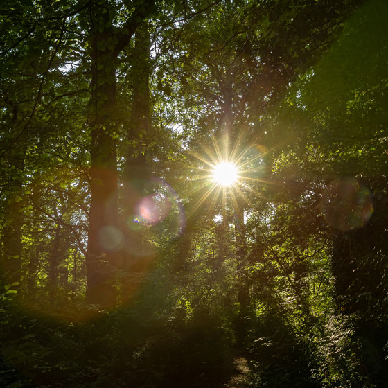 Responsible Sustainability | About Us | Future Biogas