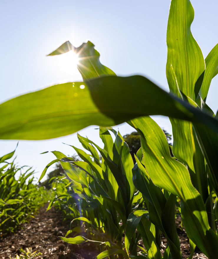 Why Future Biogas | About Us | Future Biogas