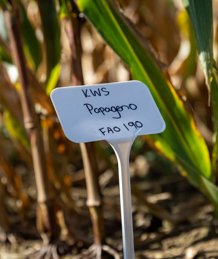 Research & Development | Farming | Future Biogas