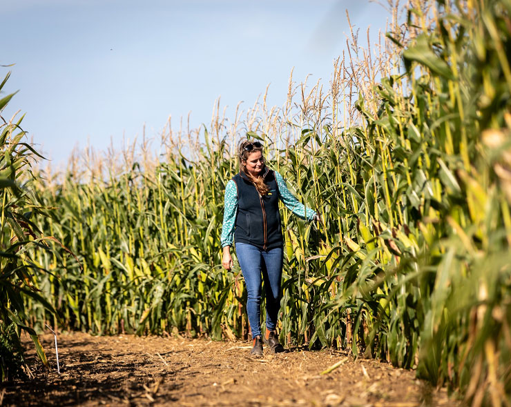 Research & Development | Farming | Future Biogas