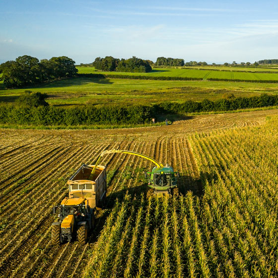 Future Biogas l Homepage l Farming l Harvest l Maize