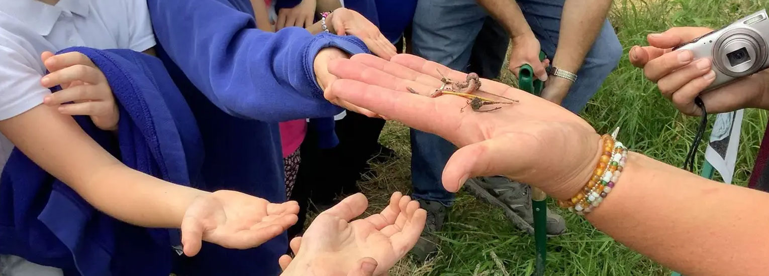 Future Biogas and the Country Trust | Communities | News & Research | Future Biogas