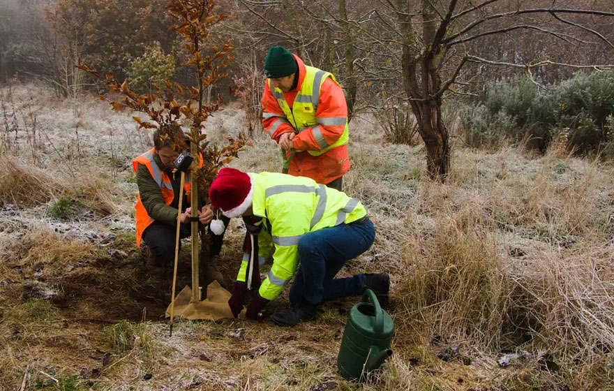 A day in the life: Ross Taylor - ESG Coordinator | Insights & Research | News & Resources | Future Biogas