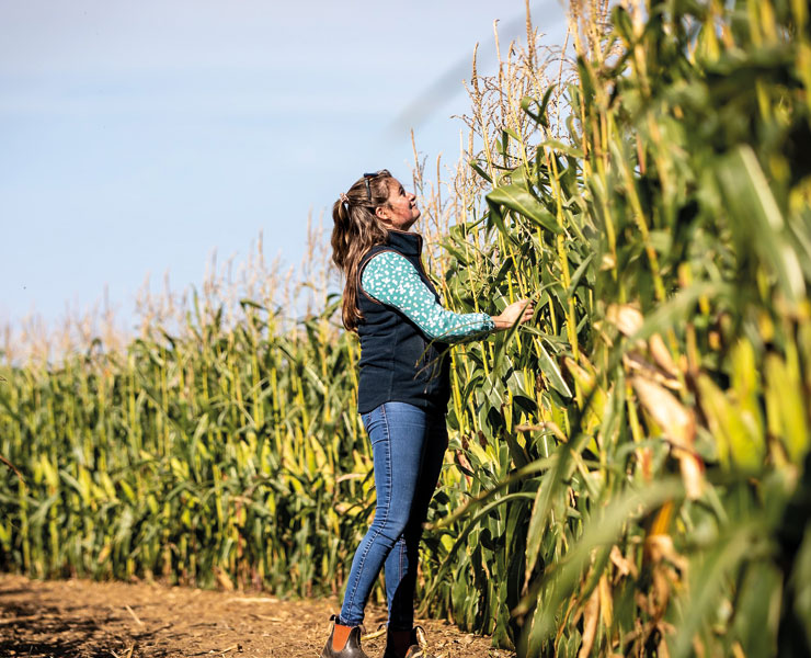 future-biogas-Farming-land-use