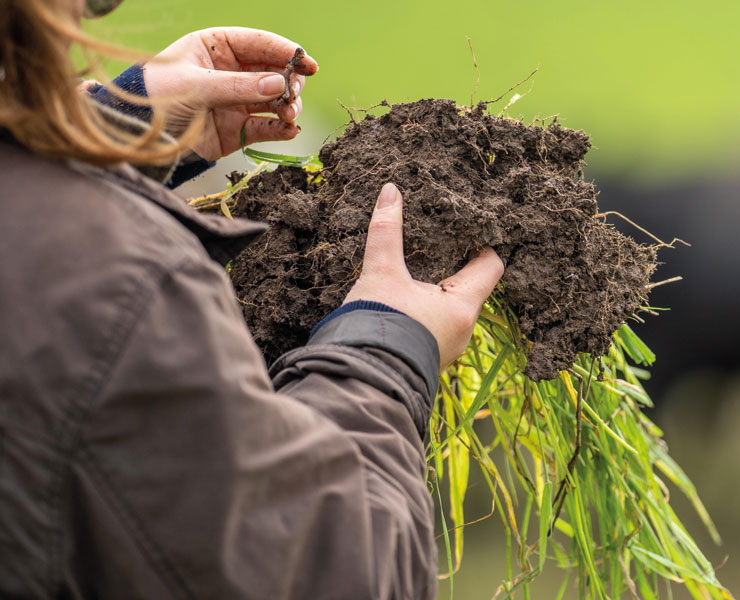 future-biogas-Green-Gas-Co-Benefits-Biodiversity-soil